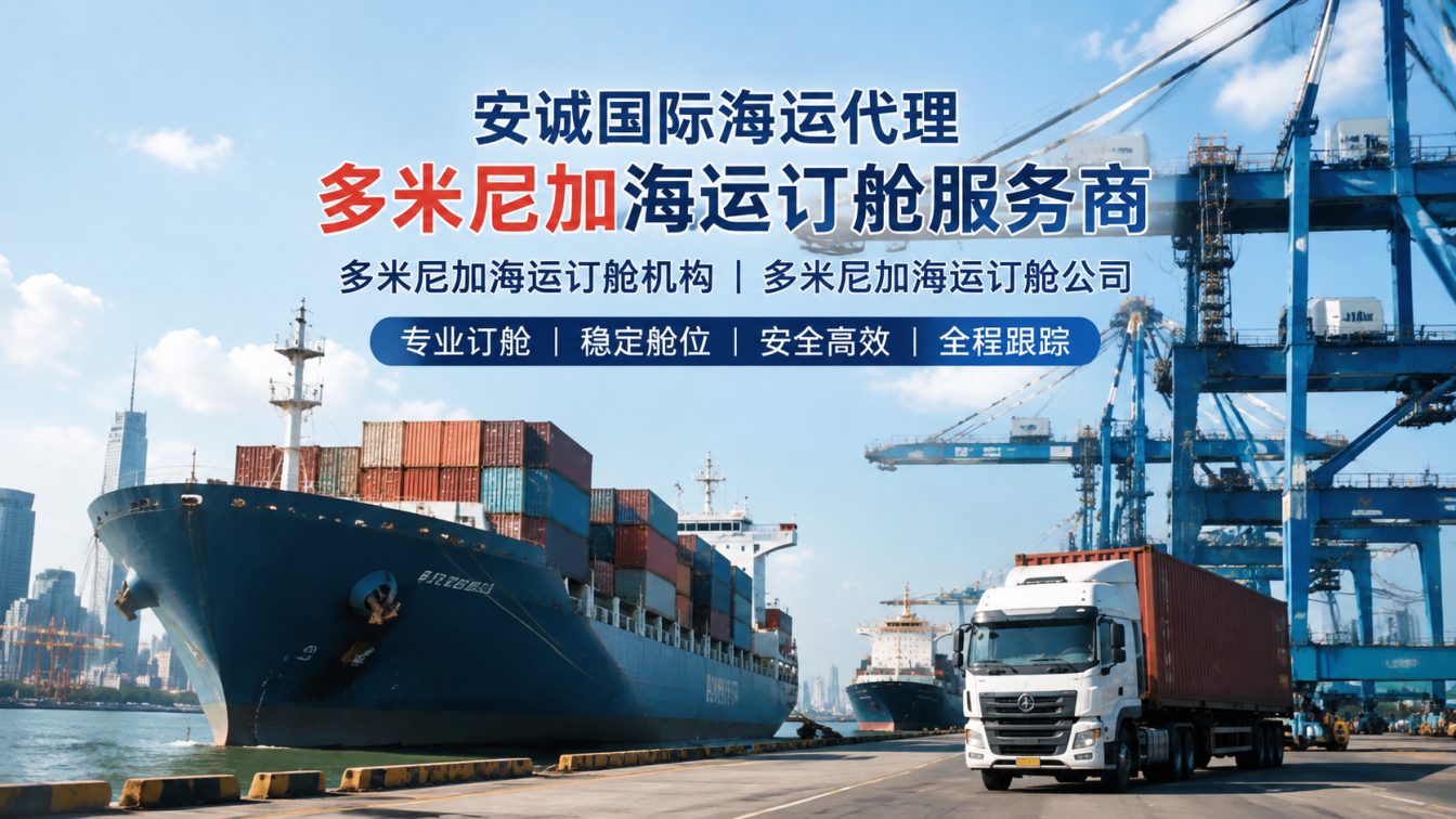 全球海运订舱稳舱优价